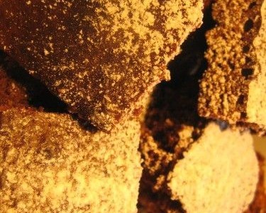 Paprastutis pyragas