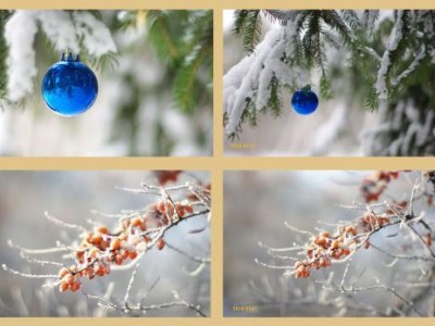 „Ūkiški“ patarimai, kokias fotografijas siųsti į konkursus