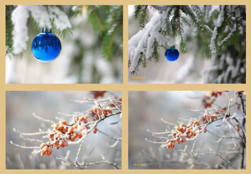 „Ūkiški“ patarimai, kokias fotografijas siųsti į konkursus