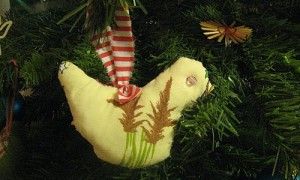 t_IMG_1919