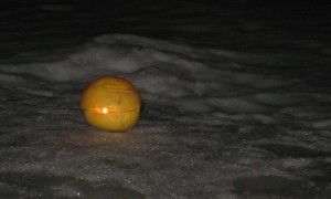 IMG_2145