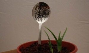 Foto iš domesticgoddesque.com