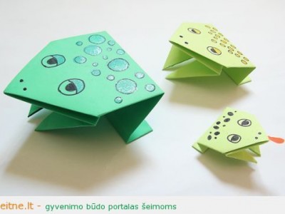 Origami varlytės