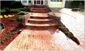 Landscape - Mulch and Shrubs