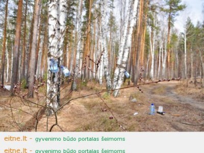 Sula – sveikatos ir grožio eliksyras