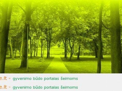 Vasaros koncertų ciklas Klaipėdos koncertų salėje