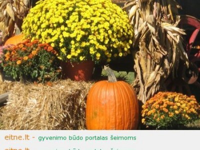 Kelios idėjos rudeniniam namų dekoravimui