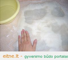 t_mano03 537