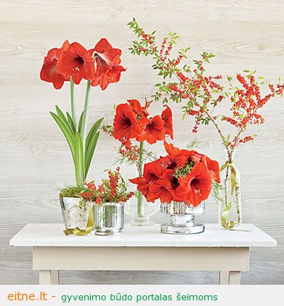 red-holiday-blooms-decor-l